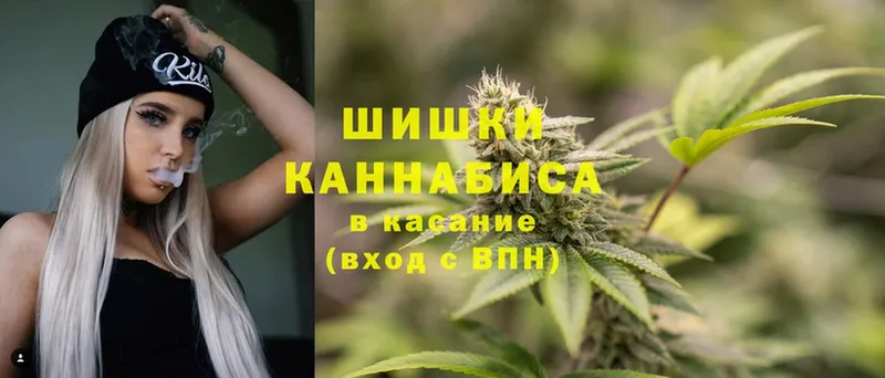 площадка формула  Курган  Конопля White Widow 